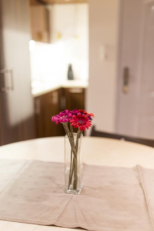Elisabeth Bridge Apartmans บูดาเปสต์ ภายนอก รูปภาพ